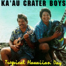 Tropical Hawaiian Day