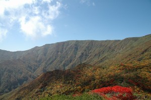 南屏風