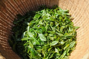 お茶